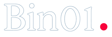 bin01 logo